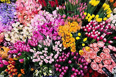 《浪人崛起》PS商店页面上线 现可加入心愿单